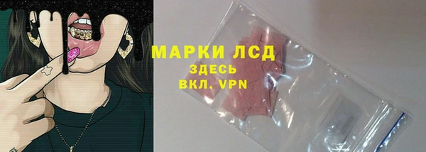 ПСИЛОЦИБИНОВЫЕ ГРИБЫ Арсеньев