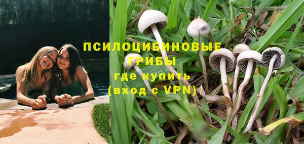 эйфоретик Аркадак