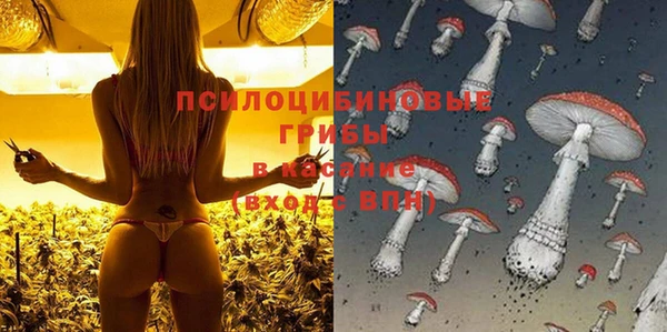 эйфоретик Аркадак