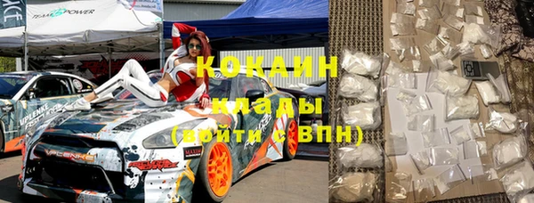 ПСИЛОЦИБИНОВЫЕ ГРИБЫ Арсеньев