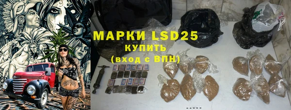 ПСИЛОЦИБИНОВЫЕ ГРИБЫ Арсеньев