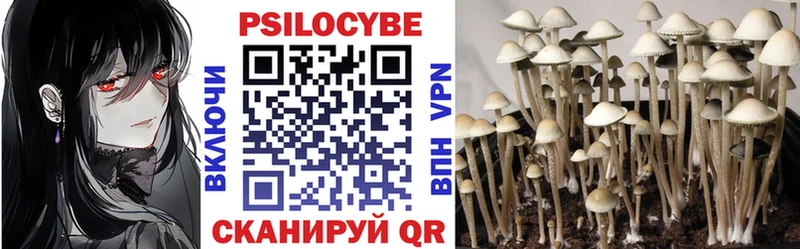 Купить закладки  Ермолино  Псилоцибиновые грибы мухоморы 